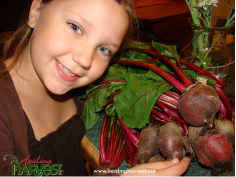 Beets In A GrowBox